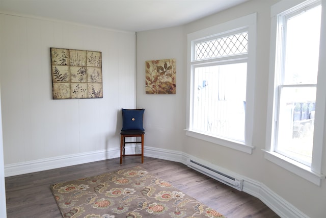 living area featuring a baseboard radiator and dark hardwood / wood-style floors