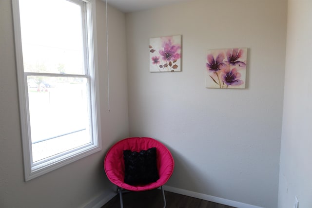 sitting room featuring dark hardwood / wood-style flooring