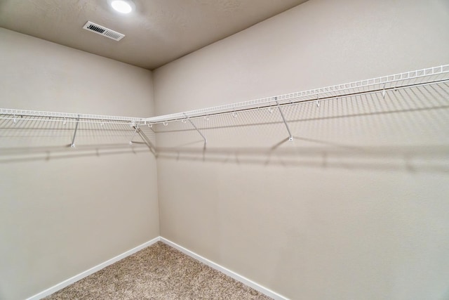 spacious closet with carpet flooring