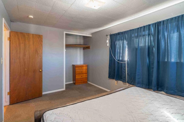 bedroom with carpet and a closet