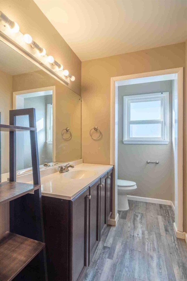 bathroom featuring vanity, toilet, and wood-type flooring