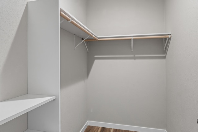 walk in closet featuring wood finished floors