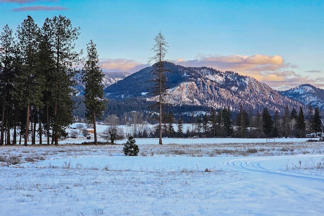 view of mountain feature