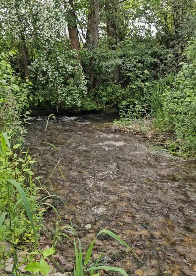 view of local wilderness