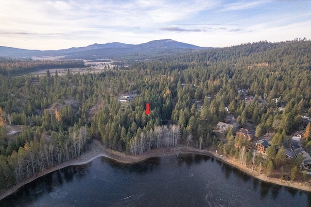 BLK8LT2 San Souci Dr, Blanchard, ID 83804 - photo 1