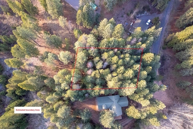 BLK8LT2 San Souci Dr, Blanchard, ID 83804 - photo 11