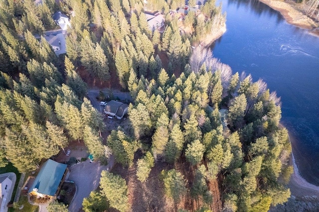 BLK8LT2 San Souci Dr, Blanchard, ID 83804 - photo 12