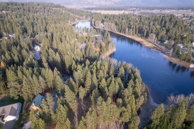 BLK8LT2 San Souci Dr, Blanchard, ID 83804 - photo 14