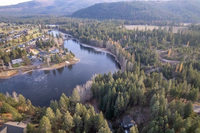 BLK8LT2 San Souci Dr, Blanchard, ID 83804 - photo 16
