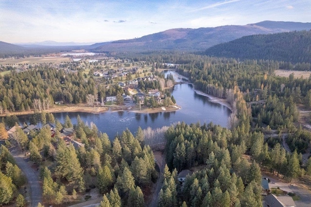 BLK8LT2 San Souci Dr, Blanchard, ID 83804 - photo 18