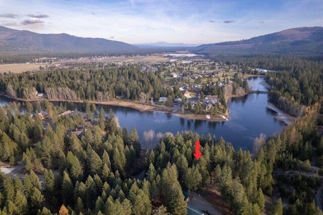 BLK8LT2 San Souci Dr, Blanchard, ID 83804 - photo 20
