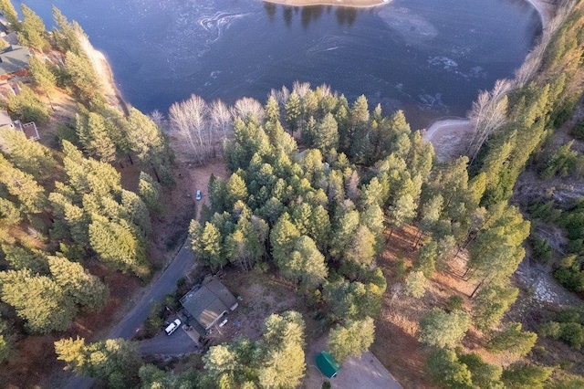 BLK8LT2 San Souci Dr, Blanchard, ID 83804 - photo 21