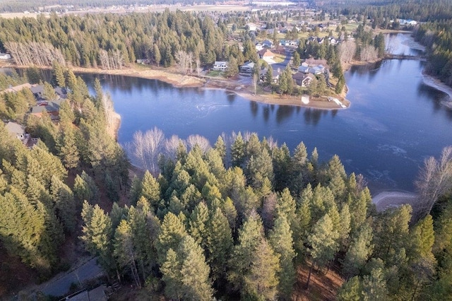 BLK8LT2 San Souci Dr, Blanchard, ID 83804 - photo 22