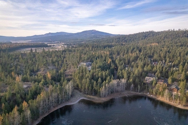 BLK8LT2 San Souci Dr, Blanchard, ID 83804 - photo 23