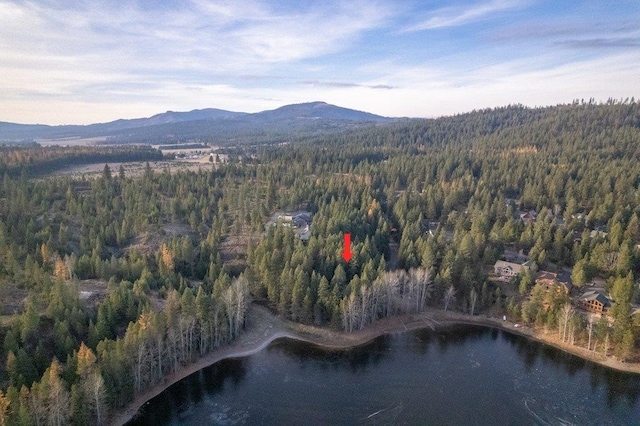 BLK8LT2 San Souci Dr, Blanchard, ID 83804 - photo 24