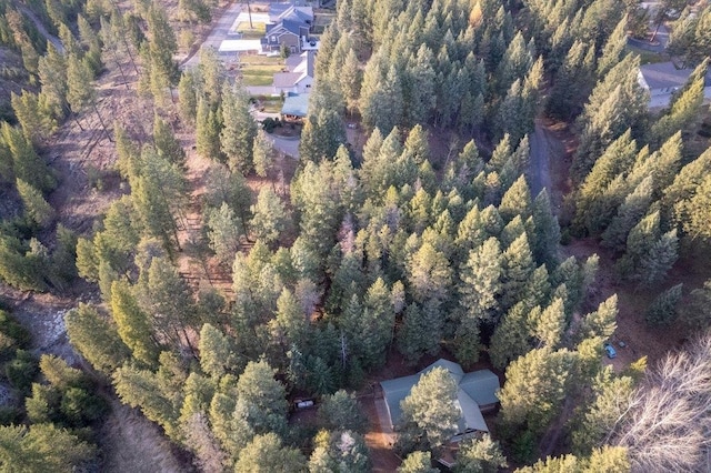 BLK8LT2 San Souci Dr, Blanchard, ID 83804 - photo 25