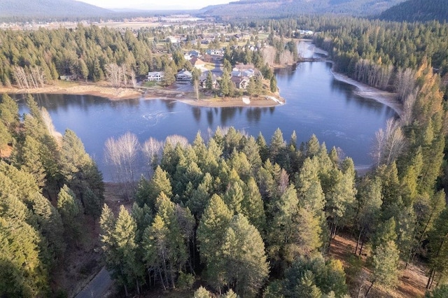 BLK8LT2 San Souci Dr, Blanchard, ID 83804 - photo 26