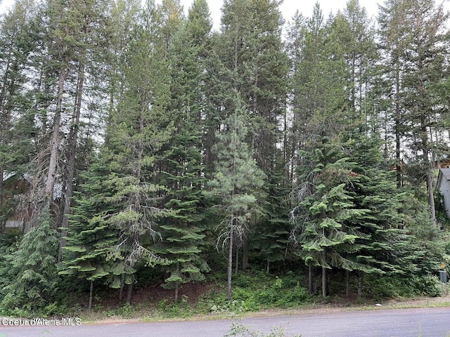 BLK8LT2 San Souci Dr, Blanchard, ID 83804 - photo 28