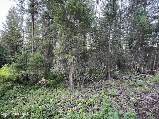 BLK8LT2 San Souci Dr, Blanchard, ID 83804 - photo 30