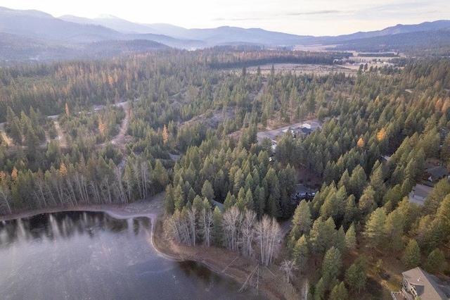 BLK8LT2 San Souci Dr, Blanchard, ID 83804 - photo 4
