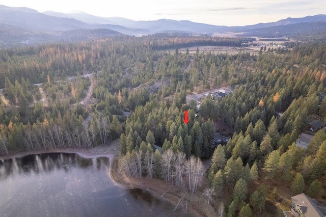BLK8LT2 San Souci Dr, Blanchard, ID 83804 - photo 5
