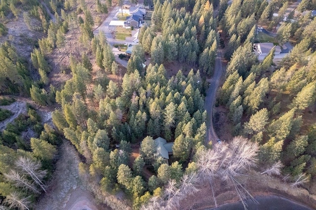BLK8LT2 San Souci Dr, Blanchard, ID 83804 - photo 9