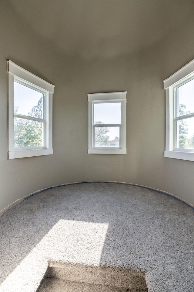 carpeted empty room with a healthy amount of sunlight