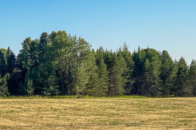 62XX W Oregon Rd, Deer Park, WA 99006 - photo 11