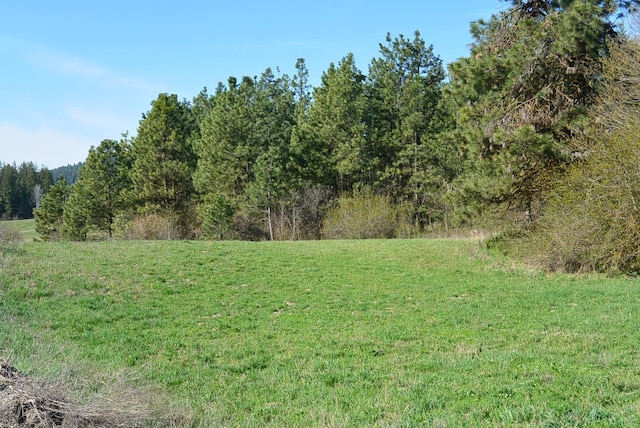 TBD Long Prairie Road, Valley WA, 99181 land for sale