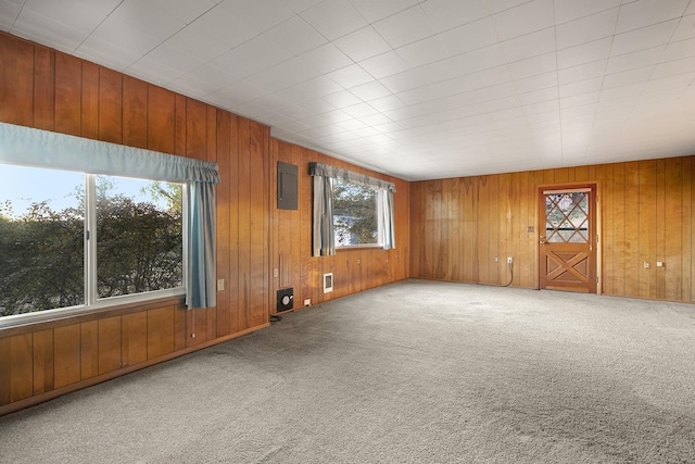 unfurnished living room featuring wood walls, carpet, plenty of natural light, and electric panel