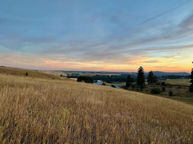 nature at dusk with a rural view