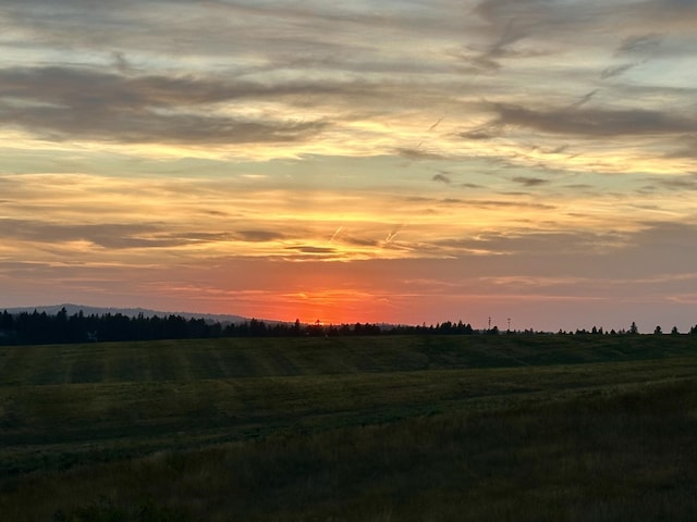 nature at dusk with a rural view