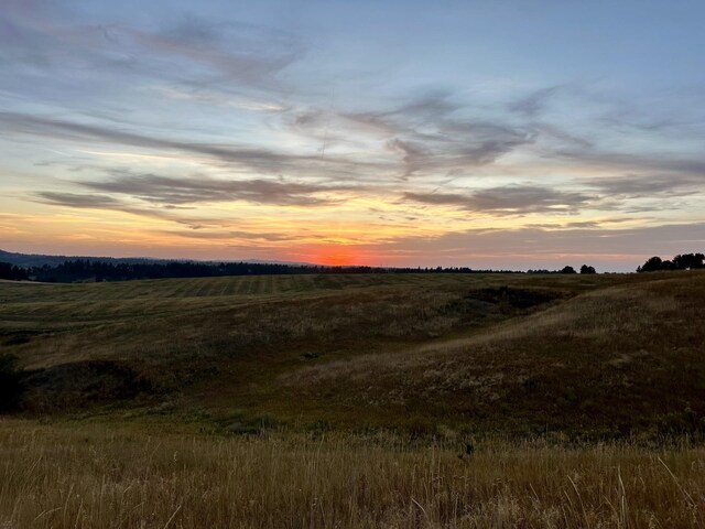 nature at dusk with a rural view