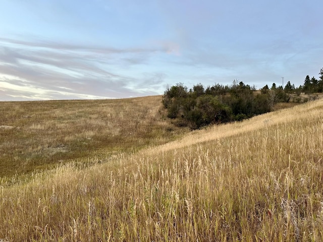 view of landscape featuring a rural view