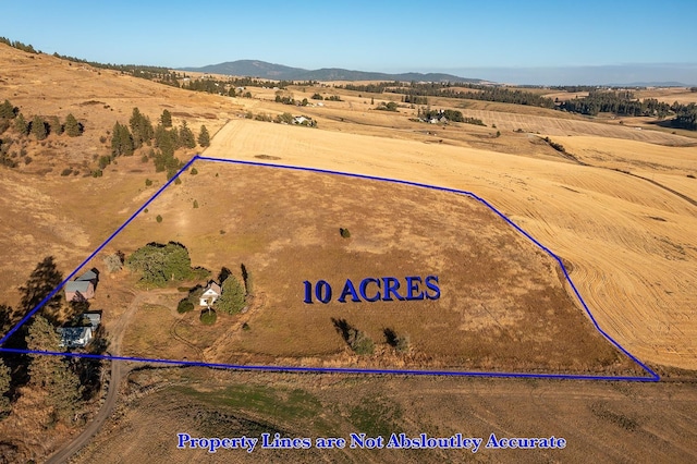 bird's eye view with a rural view and a mountain view