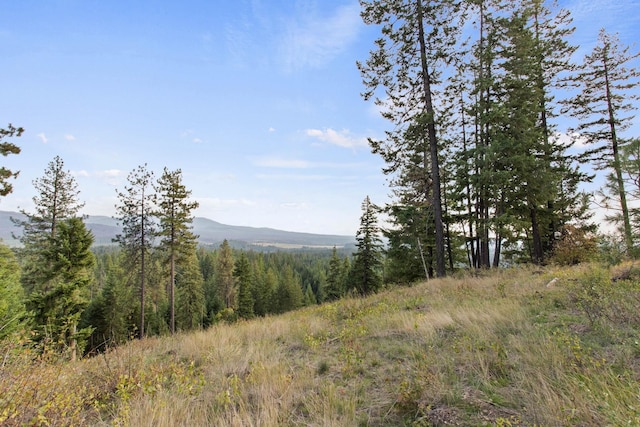 view of nature featuring a mountain view