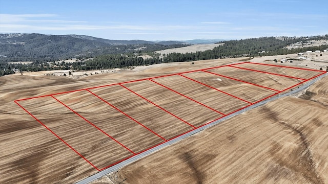 S8004 Jackson Rd, Mica WA, 99023 land for sale