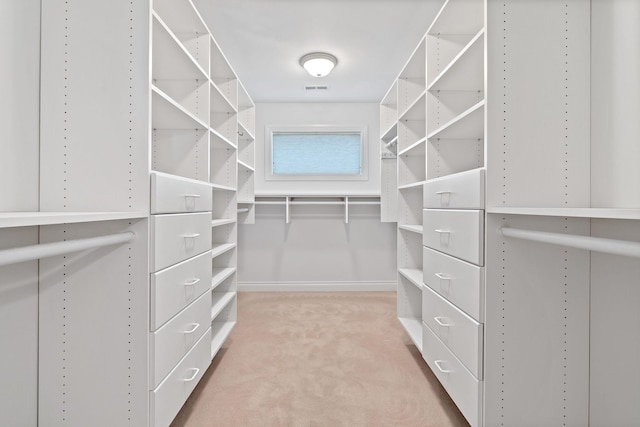 walk in closet featuring carpet