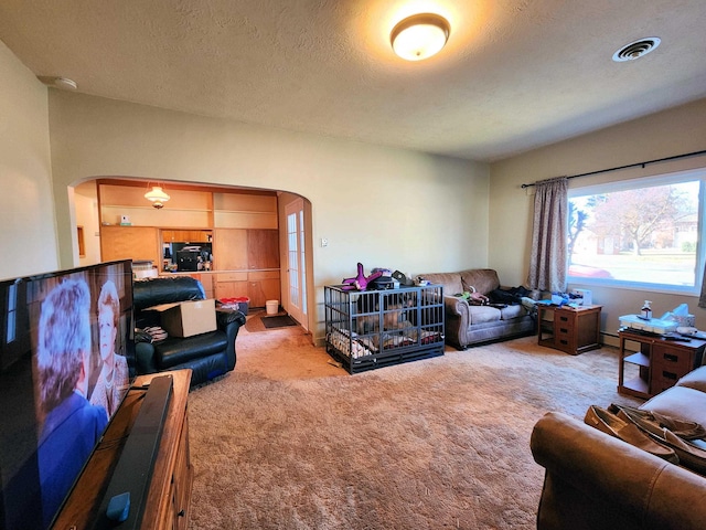 living room featuring a textured ceiling and carpet flooring