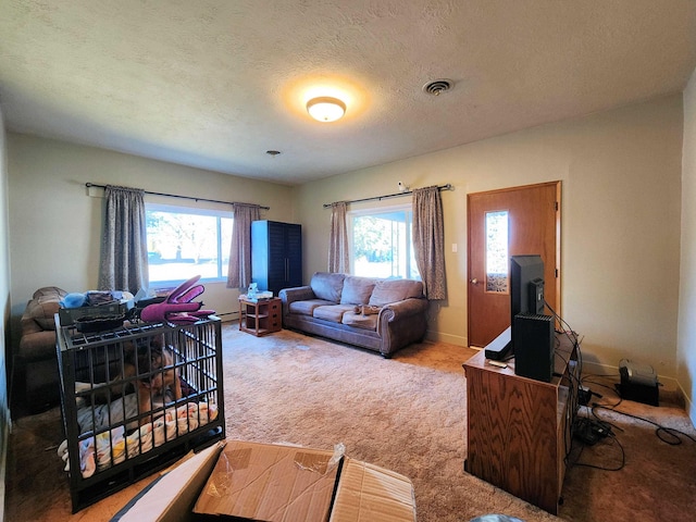 carpeted living room with a textured ceiling