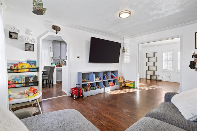 living room with crown molding, dark hardwood / wood-style floors, and a textured ceiling