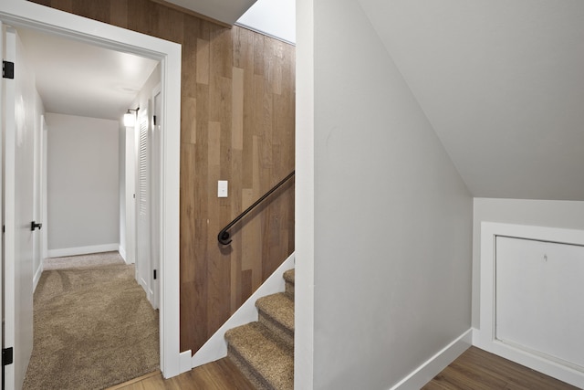 stairway with carpet flooring and wooden walls