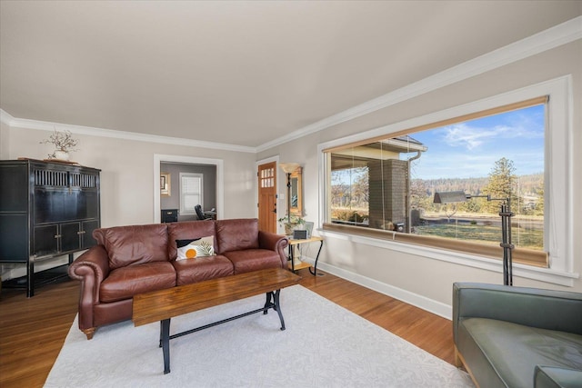 living room featuring hardwood / wood-style floors and crown molding