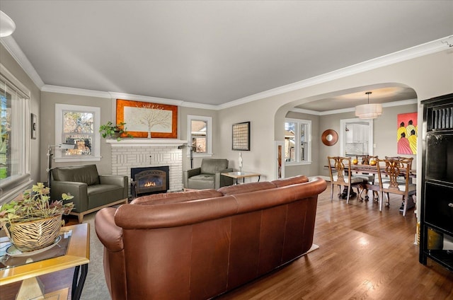 living room featuring ornamental molding, hardwood / wood-style floors, and a fireplace