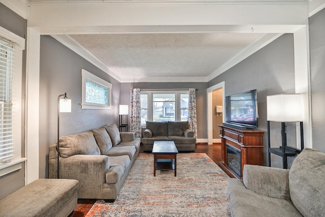 living room featuring hardwood / wood-style flooring and crown molding