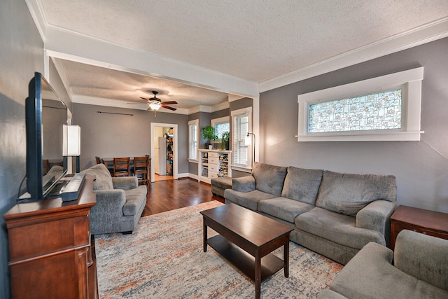 living room featuring ceiling fan, hardwood / wood-style floors, ornamental molding, and a textured ceiling