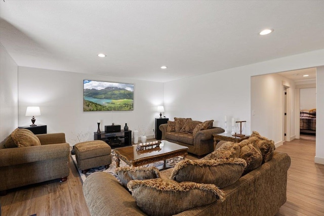 living room featuring light hardwood / wood-style floors