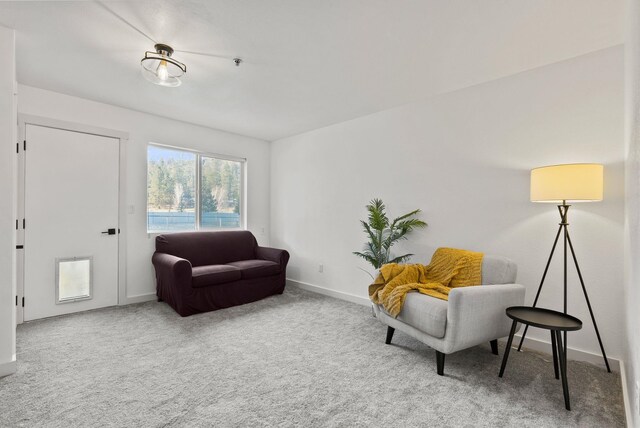 sitting room with carpet