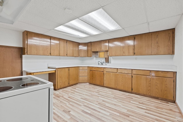 kitchen with sink, a paneled ceiling, white electric stove, and light wood-type flooring