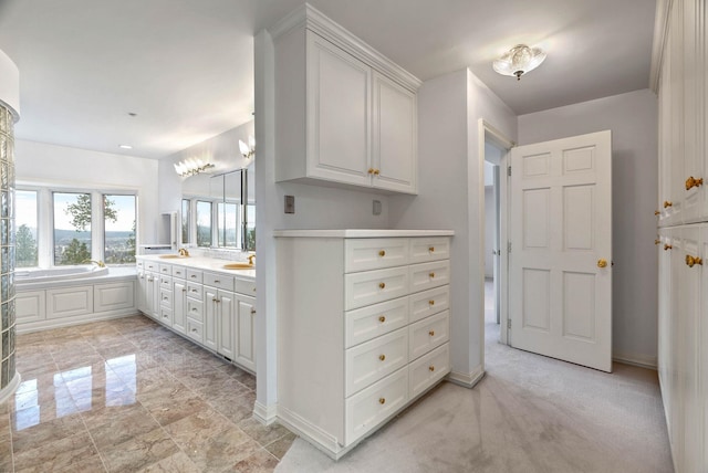 bathroom with vanity and a bathing tub